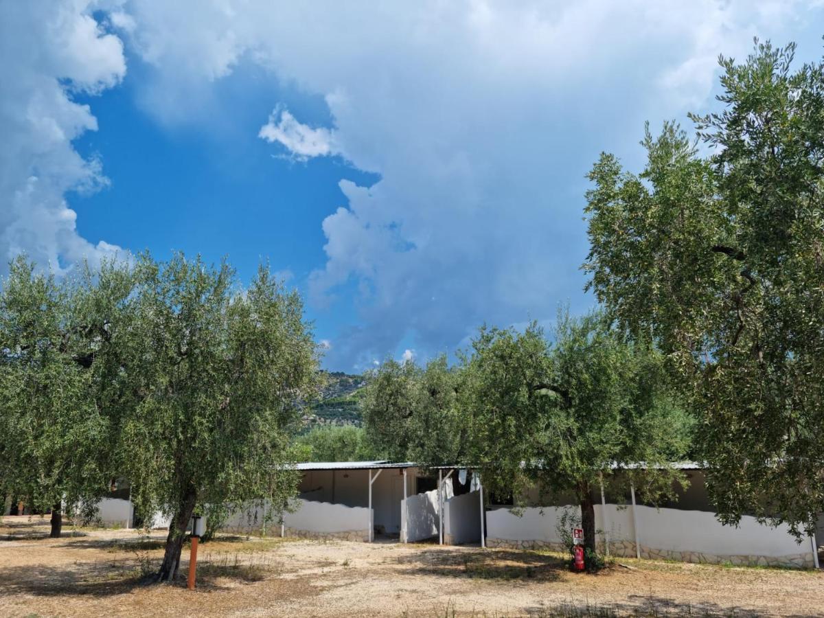Apartments Villaggio Riccio Mattinata Εξωτερικό φωτογραφία