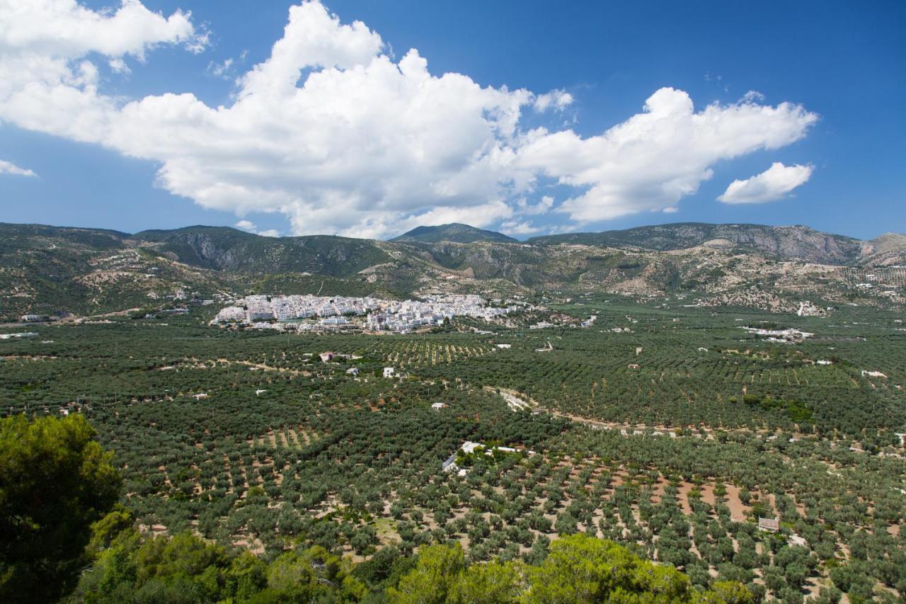 Apartments Villaggio Riccio Mattinata Εξωτερικό φωτογραφία